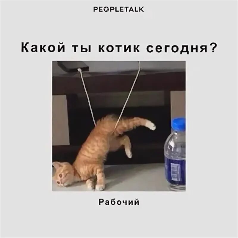 Христианин раб божий. Христьянские сатанисты. Какой ты сегодня. Я не раб божий. Мем про сотрудников.