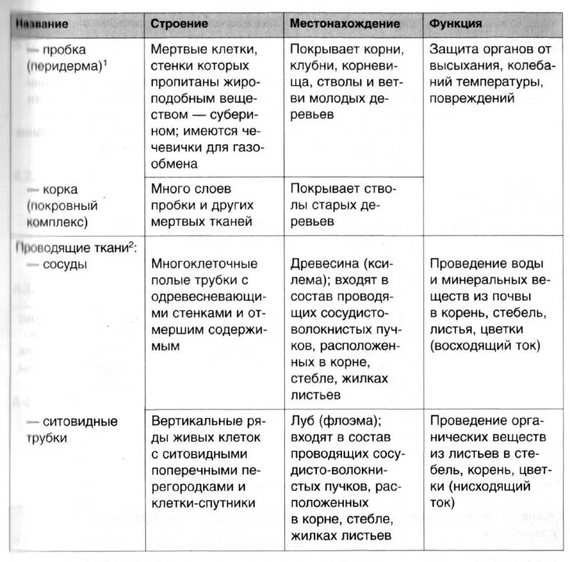 конспект по биологии 8 класс ткани. конспект по биологии 8 класс ткани. соединительные ткани строение функции биология 8 класс. ткани по биологии 8 класс. конспект по биологии 8 класс ткани.