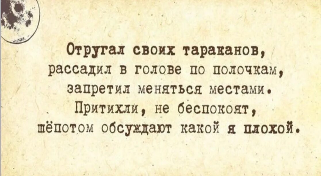 Слабые обсуждают. Высказывания про тараканов в голове. Тараканы в голове притихли. Отругал своих тараканов рассадила в голове по полочкам. Афоризмы про тараканов в голове.