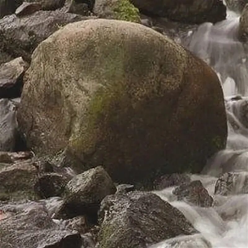 Что значит под лежачий камень. Лежачий камень. Под лежачий камень вода не течёт. Вода течет под лежачий камень. Вода под камень не течёт.