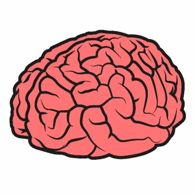 Мозг рисунок. Мозг человека карандашом. Мозг схематично. Мозг мультяшный. Мозг нарисованный.