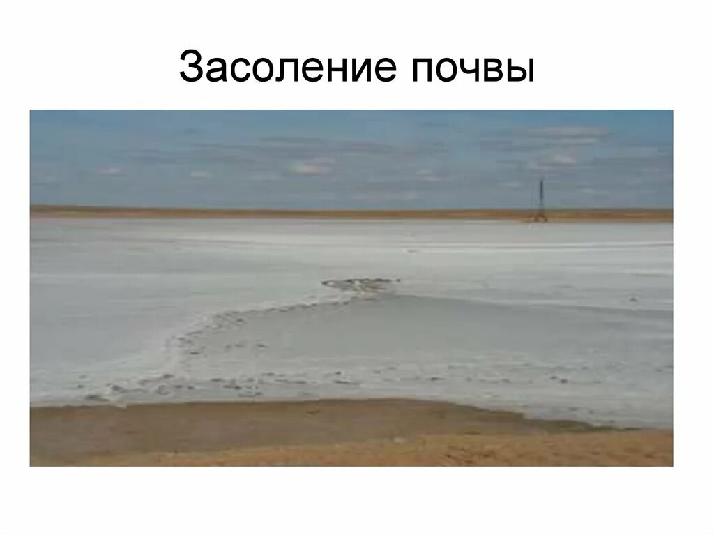 Засоление и эрозия. Засоление почв. загрязнение почвы засоление почв. засоление почв в россии. презентация на тему засоление почв.