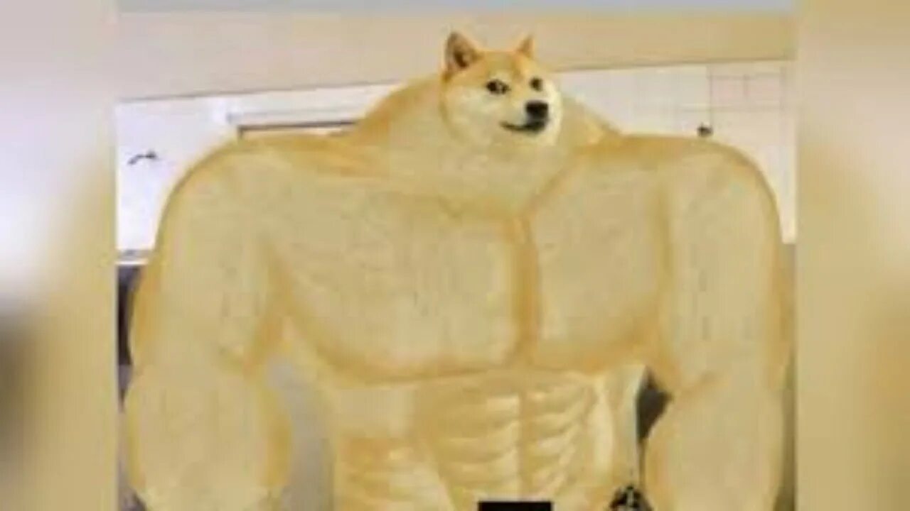 Swole Doge vs. Cheems Transparent Template Swole Doge vs. Cheems Meme template, 
