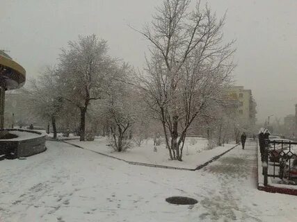 Последние дни снега