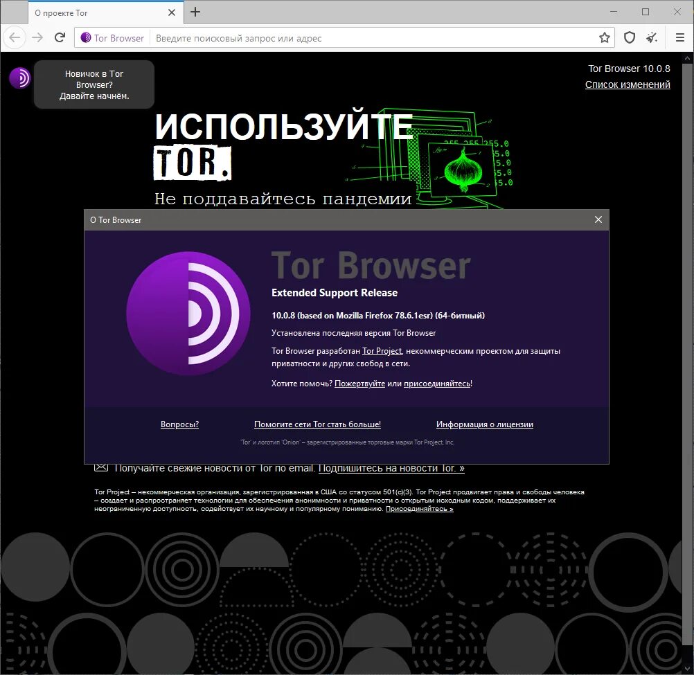 Torproject org download