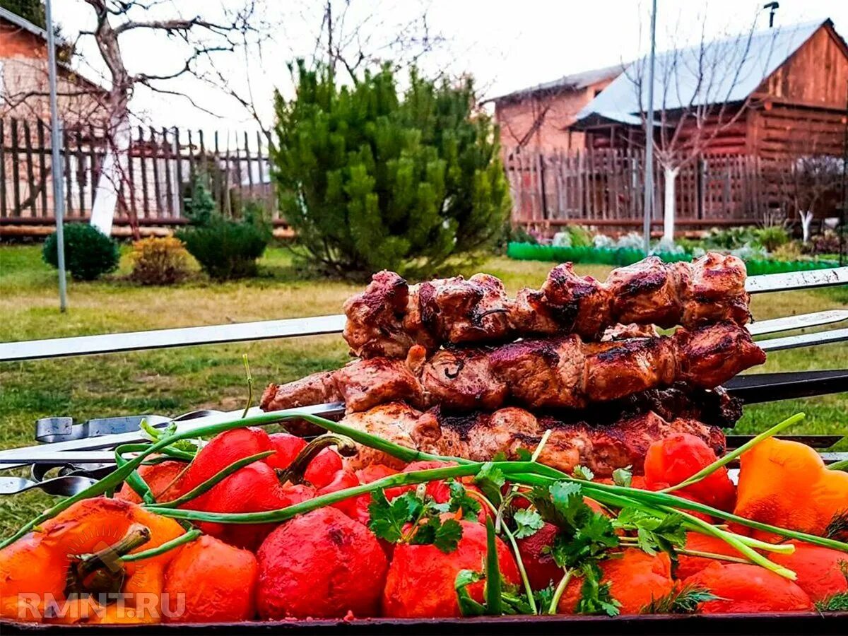 Можно ли жарить шашлык на даче. Шашлыки на даче. Шашлыки на природе. Шашлык на мангале на даче. Iашлык на даче.