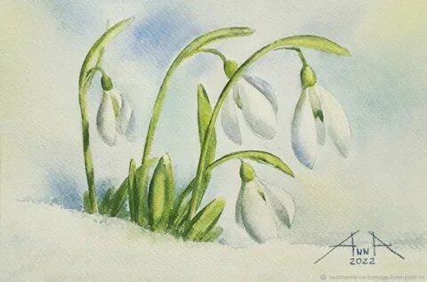 Подснежник рисунок 2 класс