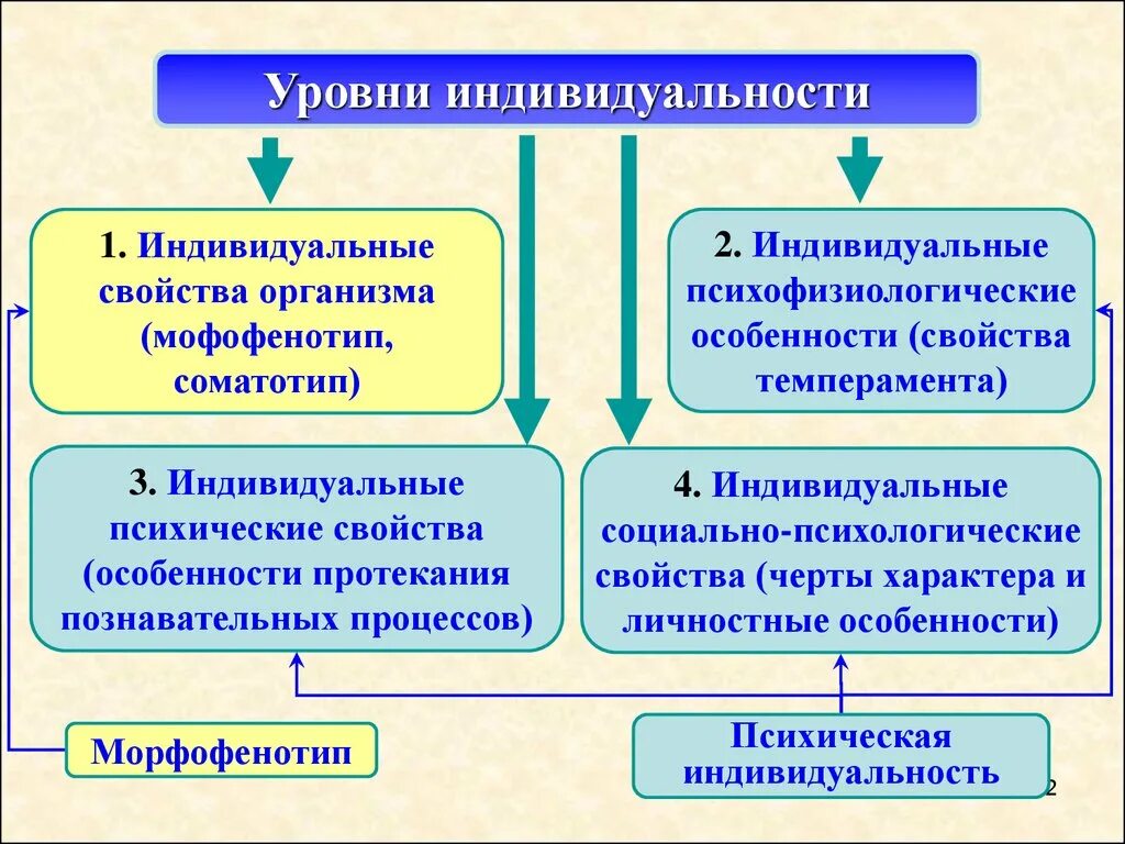 Основные качества индивида. Уровни индивидуальности. Уровни в структуре индивидуальности. Уровни проявления индивидуальности.. Уровни индивидуальности в психологии.