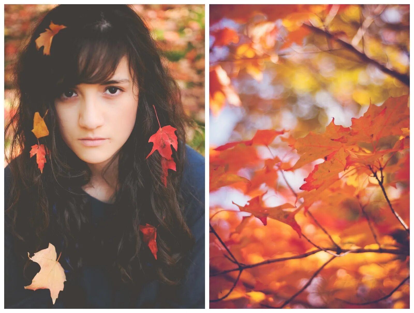 чак пинсон. альберт пинсон архитектура. томас моран cresheim glen, wissahickon, autumn. Thomas moran осенний лес. художник дейвис давенпорт.