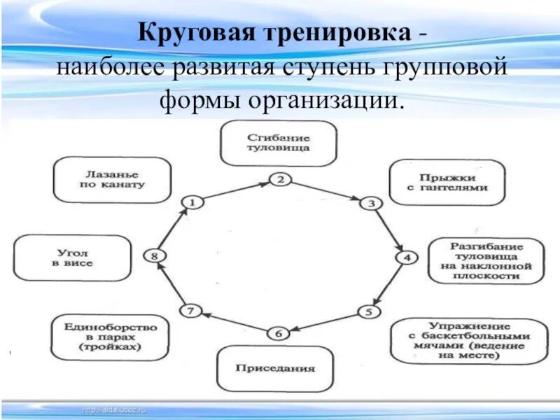 Метод круговой тренировки. Схема круговой тренировки. Круговая тренировка на физической культуре. Круговая форма организации урока физической культуры. Кольцевой метод