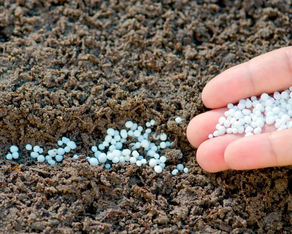 Использование минеральных удобрений. Использование минеральных удобрений. Минеральные удобрения в растениеводстве. Удобрения. Минеральные удобрения вносят для.