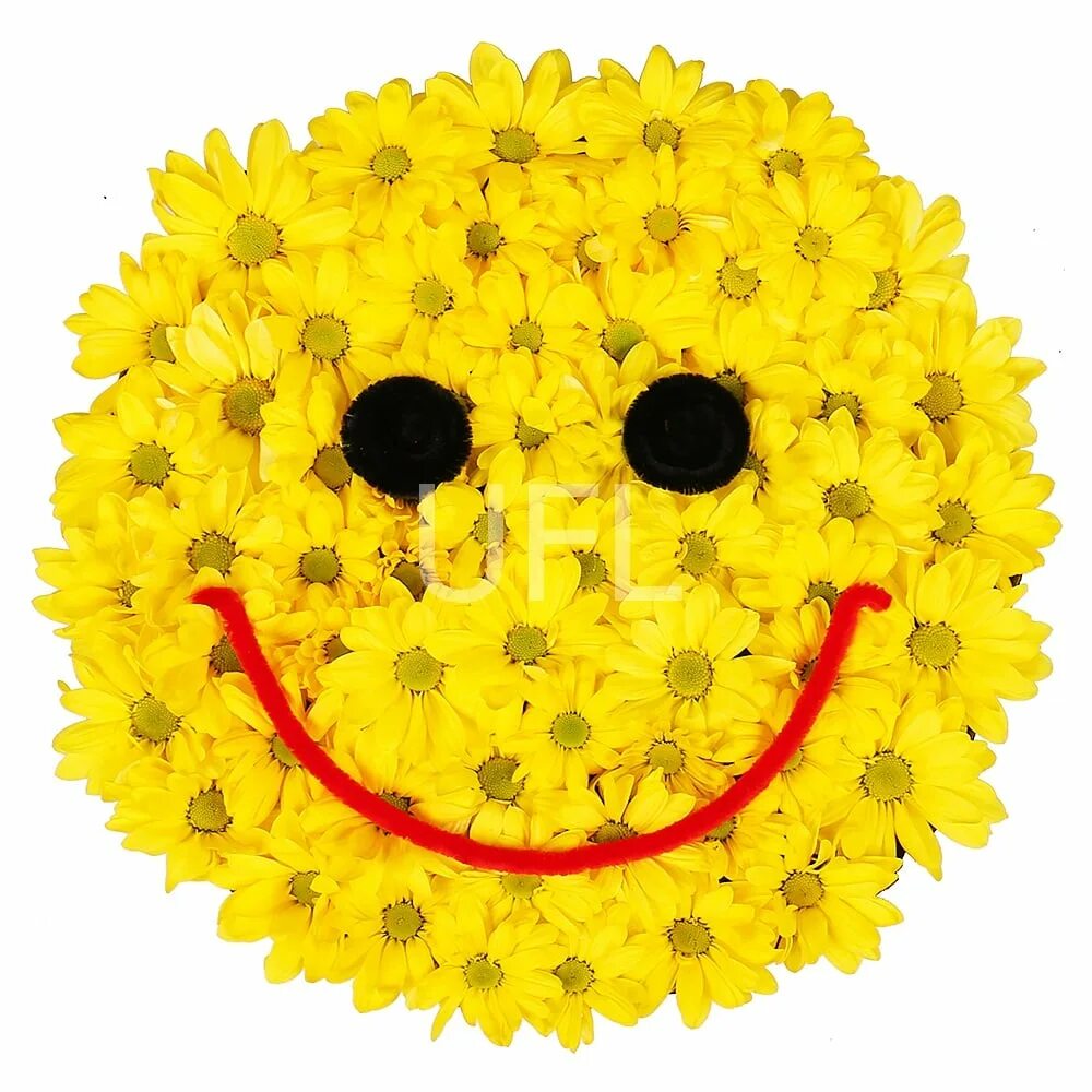 Ребенок улыбается. Смайи. Ренесми карли каллен. Bedge 7tv smile. Just smile logo.