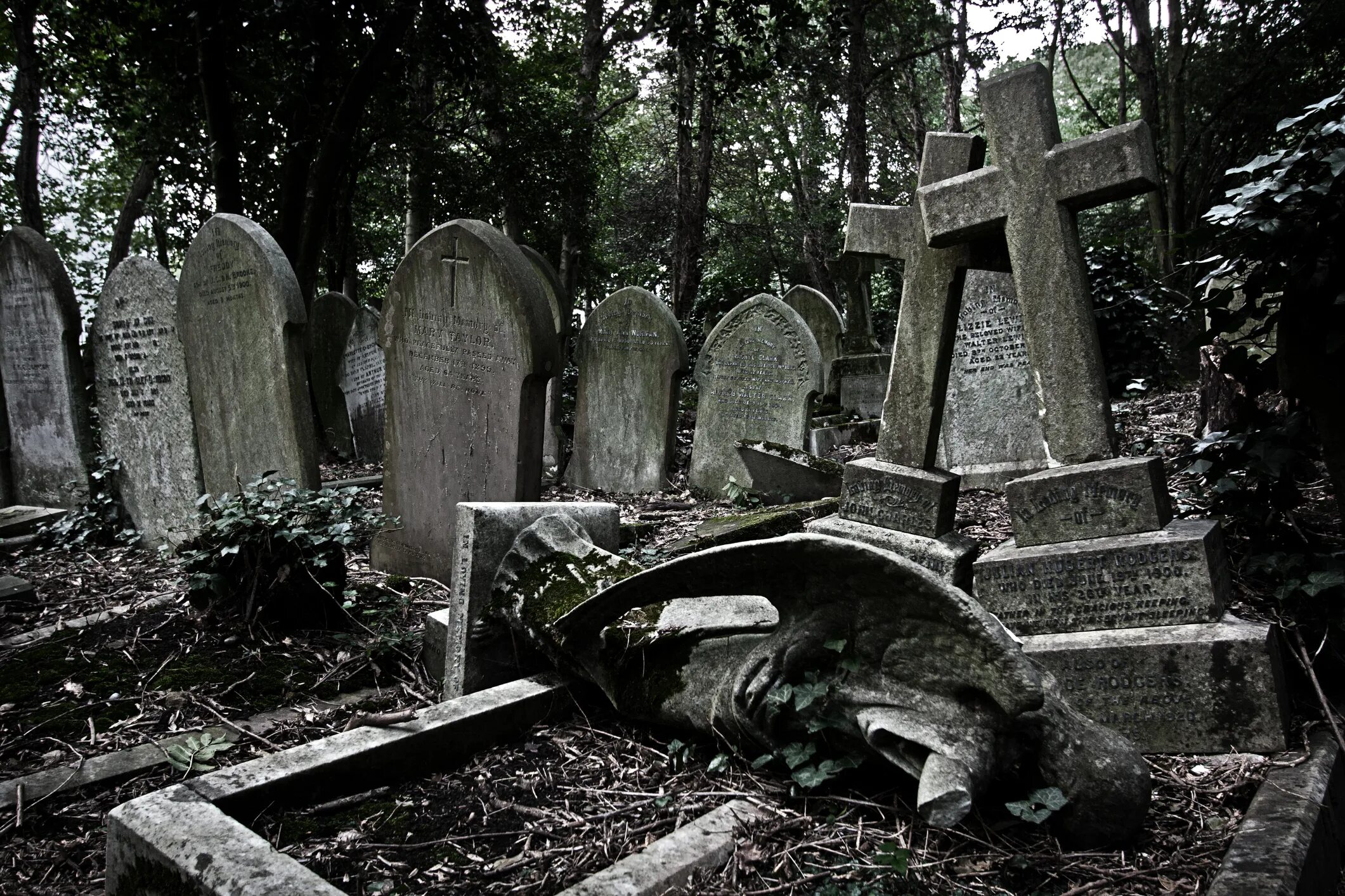 Искать кладбище во сне. Highgate Cemetery могила вампира. Кладбище Хайгейт в Лондоне. Вампир с кладбища Хайгейт.