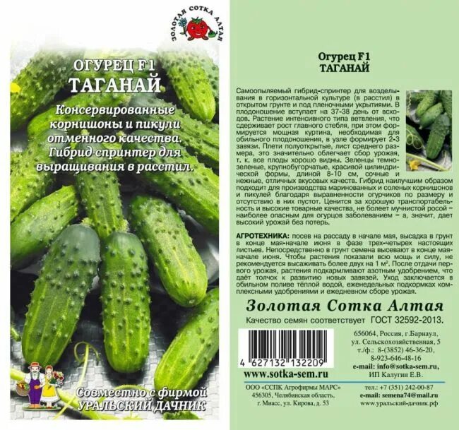 Огурец таганай отзывы фото