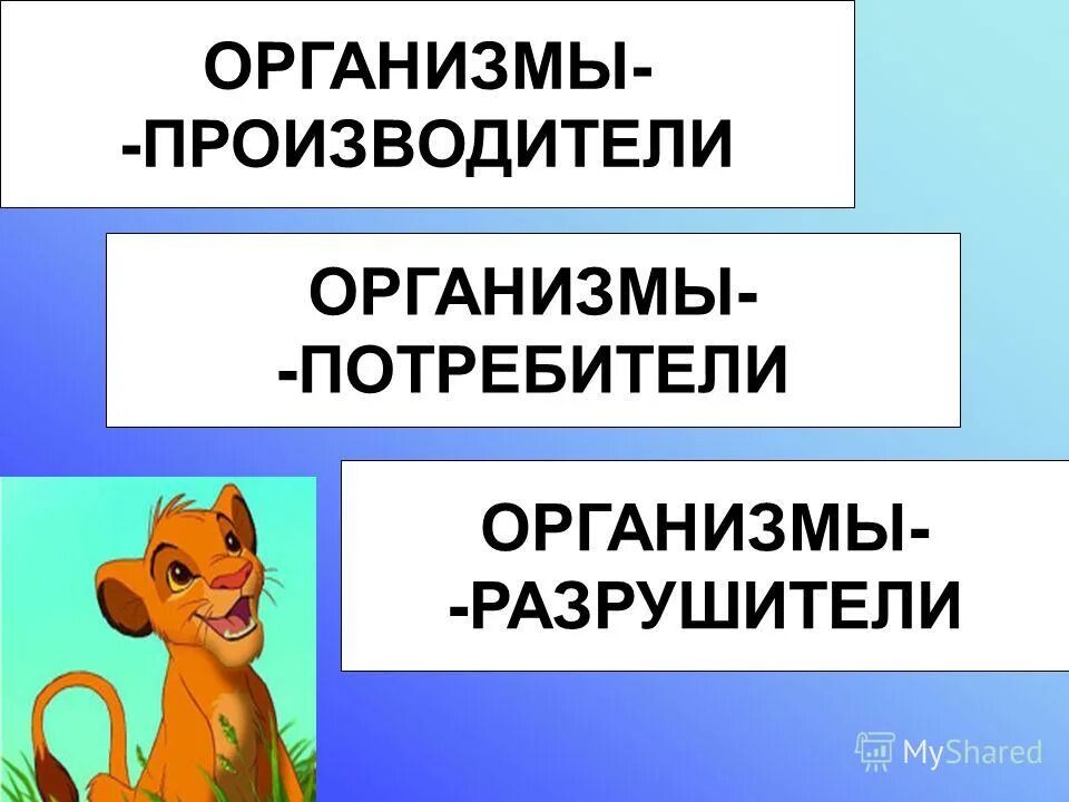 организмы производители потребители и разрушители. производители в экосистеме. производители, потребителиhfpheibntkb. организмы производители потребители разрушители. эмблема потребители животные.