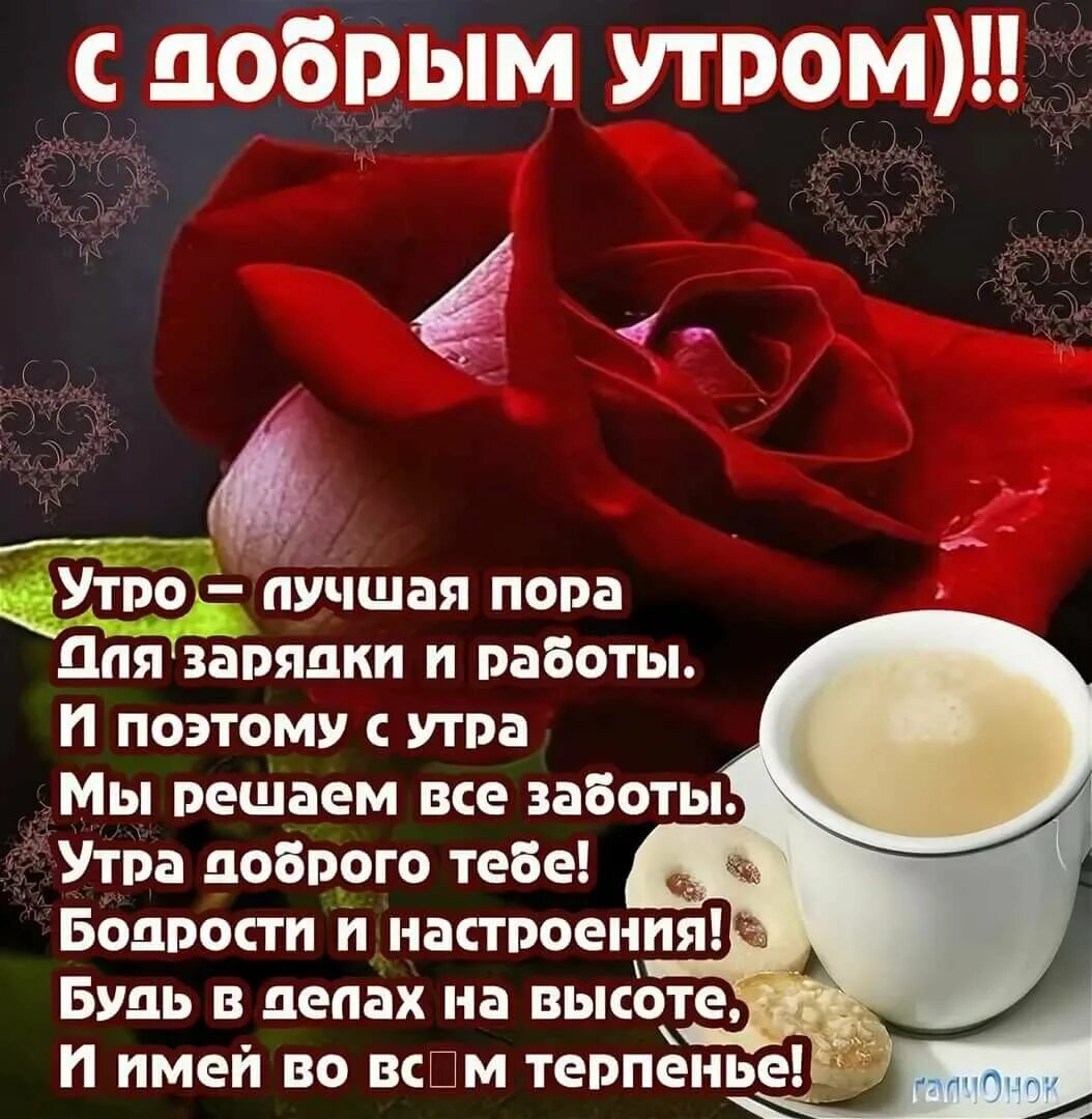 Доброе утро хорошего девушке. Стихи с добрым утром. красивые поздравления с добрым утром. доброе утро стихи. картинки со стихами с добрым утром красивые.