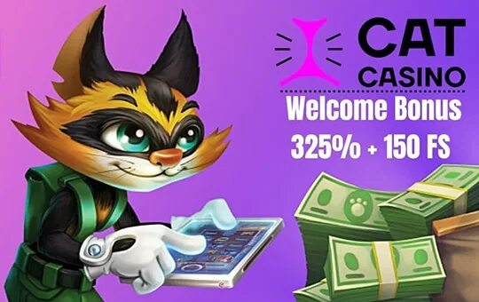 Casino cat cat license play space. Кэт казино. Кэтс казино. Казино с котами. Cat Casino картинки.