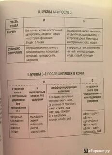 8 класс русский пунктуация и орфография