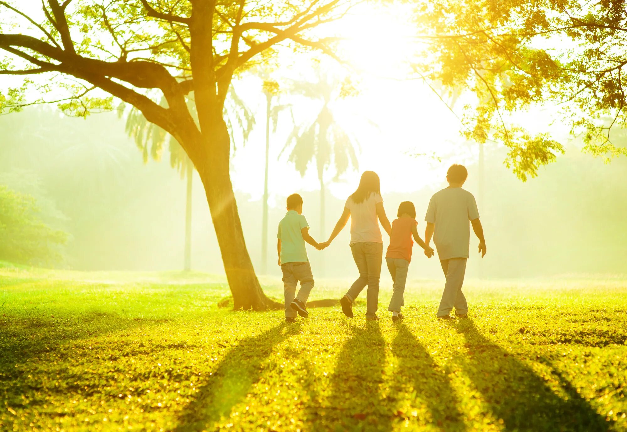 Sun family