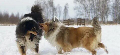 А ну отдай