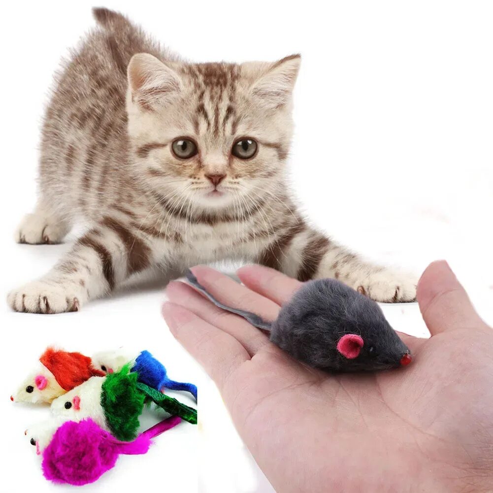 Кошачьи игрушки эстетика. Игрушка для кошки. Кошачьи игрушки. Интерактивная игрушка дэйзи игривый котенок furreal friends a2003. Любимые игрушки кошек.