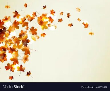 Leaves flew