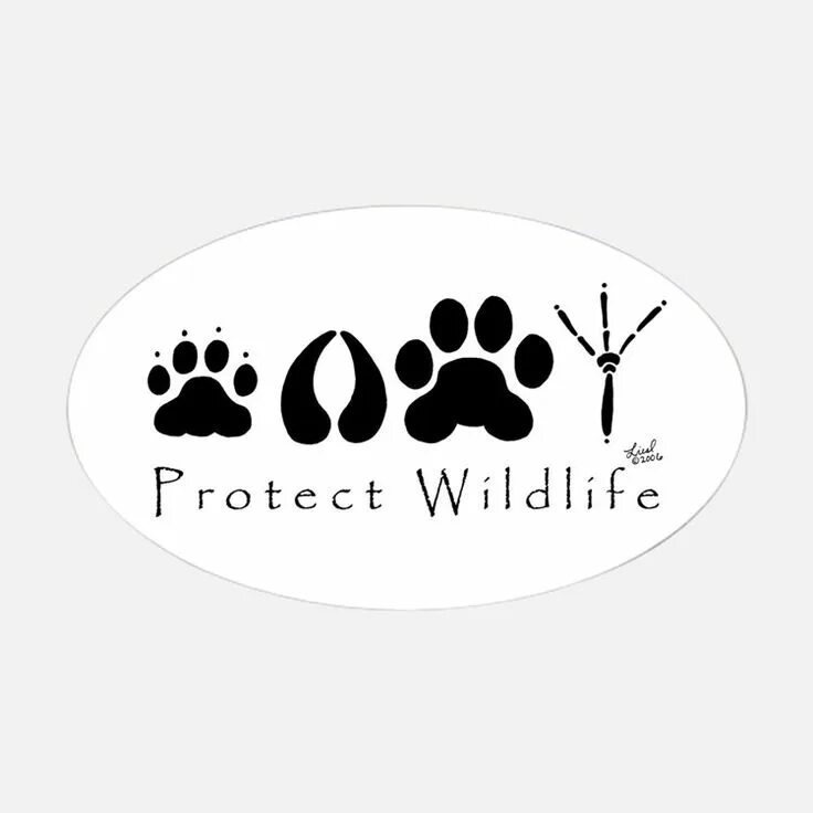 Protect the wild. Wildlife protection. save wildlife. protecting wildlife. protect animals.