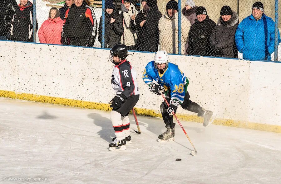 хк горняк 2010