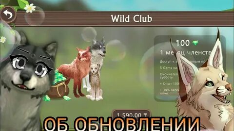 Вилд клаб