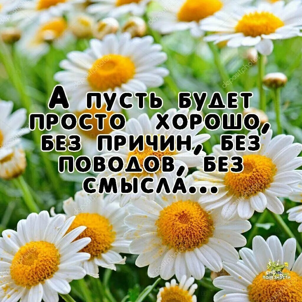 Открытки с добрым днем со смыслом