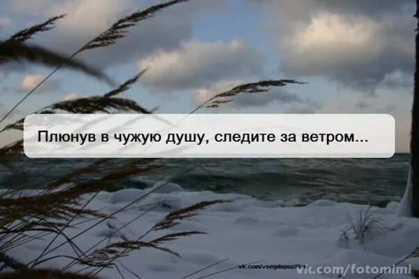 Плюнув в чужую душу следите за ветром. Плюнув в чужую душу следите за ветром картинки. Когда наплевали в душу. Плюнув в душу следи.