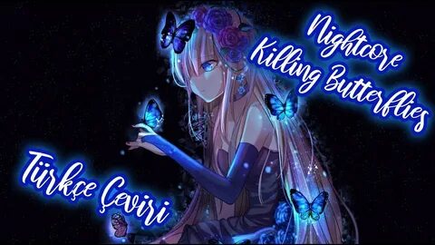 Killed butterfly