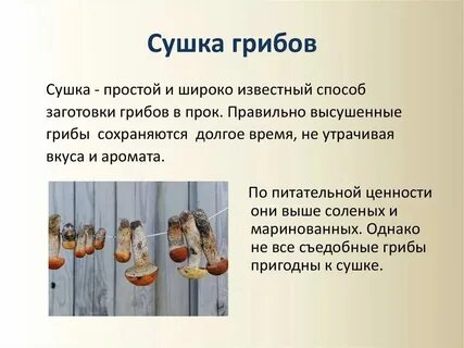 Засушенный как пишется