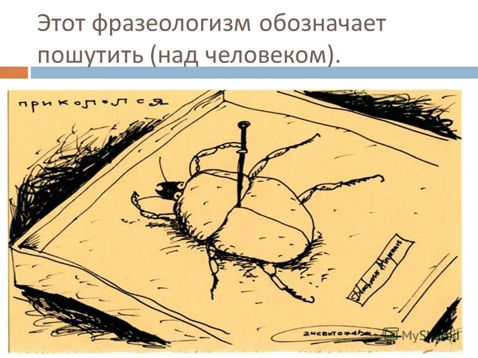 Шутить фразеологизм. Идиомы прикалываться. Шутить над собой фразеологизм или нет. Чем черт не шутит фразеологизм картинка. Что означает фразеологизм муравей тонет.