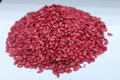 Семечки крысу