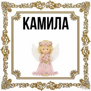 Значение имени камил