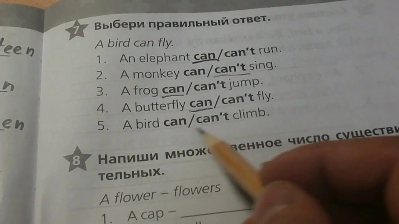 Английский сборник страница 64 номер 5. Гдз Звездный английский сборник упражнений 2 класс. Звёздный английский 2 класс сборник упражнений. Звездный английский 2 сборник упражнений. Сборник Звездный английский 2 класс ответы.