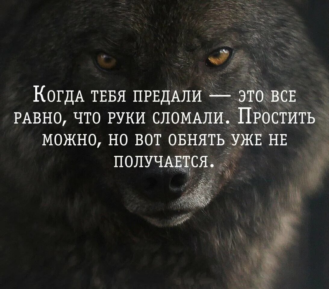 Я прощу тебе твою измену. Цитаты о предательстве любимого человека. Если тебя предали цитаты. Цитаты когда тебя передали. Предательство цитаты картинки.