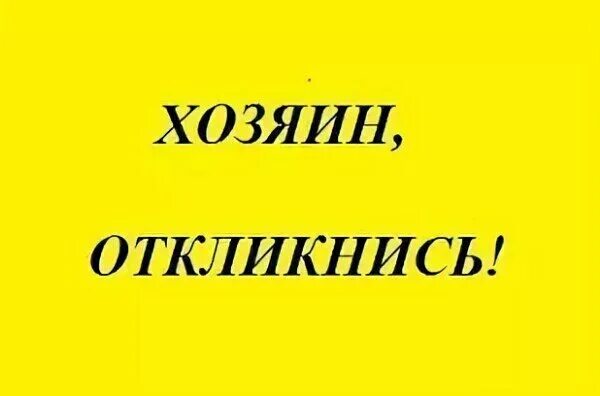 Вы где картинки. Где же ты где картинки. Где отзовись. Где же ты картинки. Отзовись.