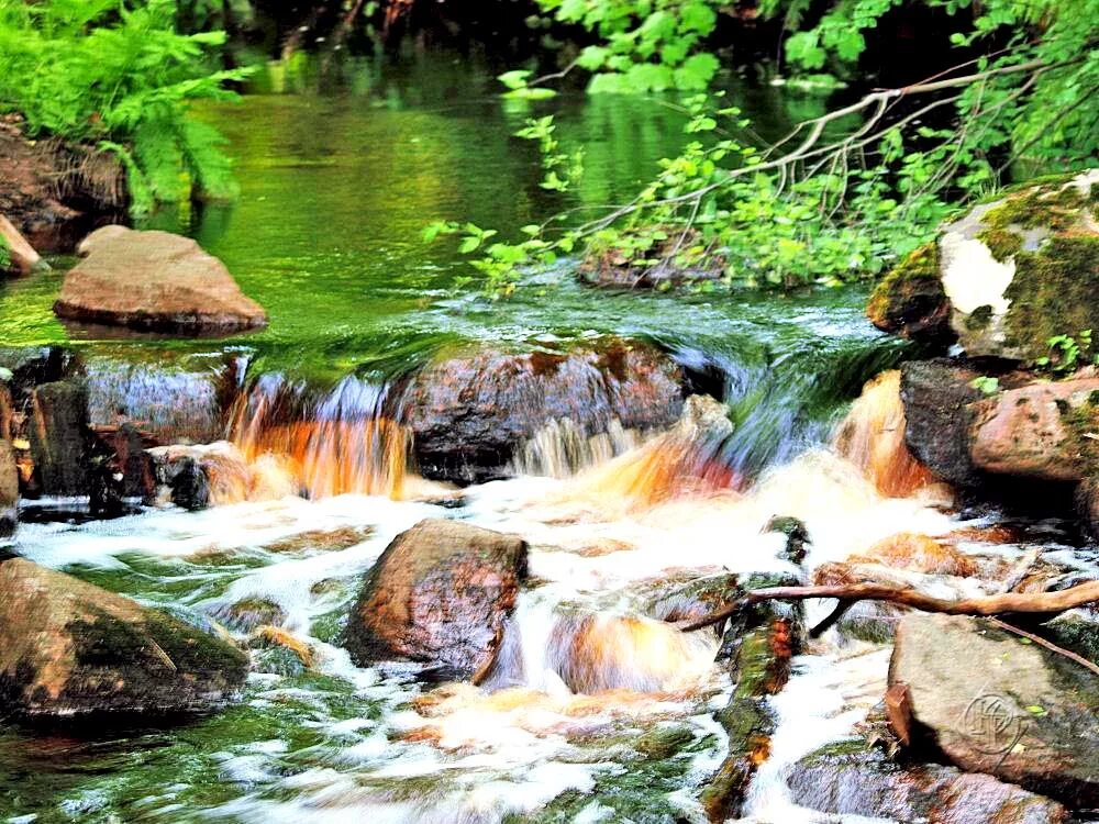 Вода бежит с ручьями споря. Ручей. Ручей по камешкам. Ручеек по камням. Летний ручей.