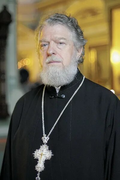 Виктор московский. Протоиерей анатолий родионов. Протоиереи москвы. Отец иоанн из храма христа спасителя. Протоиерей виктор ильенко.