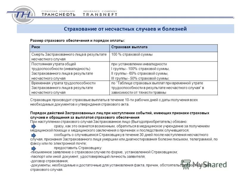 В каком виде предусмотрено представление для проверки