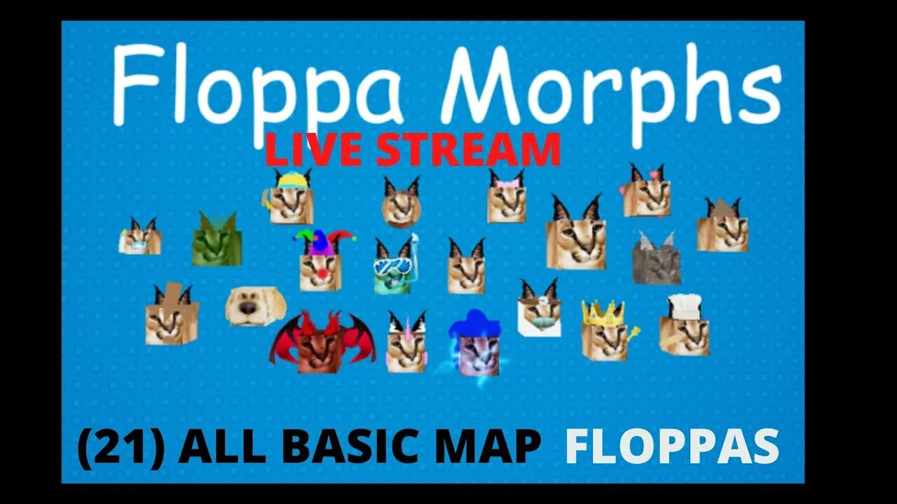 Find the floppa morphs. Морфы роблокс. флоппа роблокс. roblox find the floppa morphs.