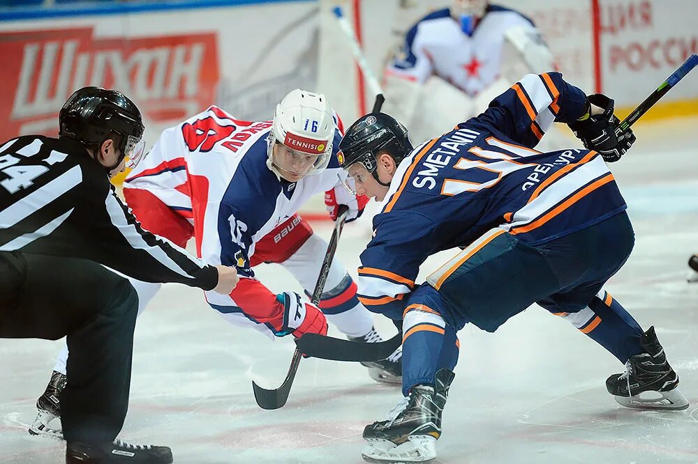 вхл звезда. команда уральская звезда игры. южный урал звезда москва прогноз. чехов. вхл.