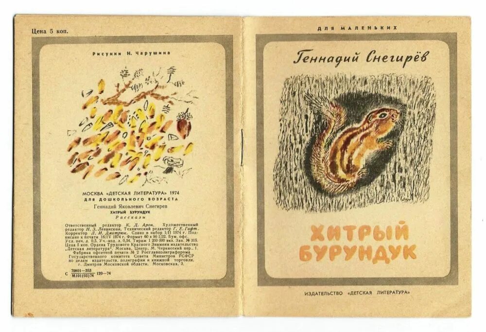 Снегирев бурундук. Снегирев г. Снегирев хитрый бурундук. Рисунок к рассказу хитрый бурундук. Снегирев бурундук.
