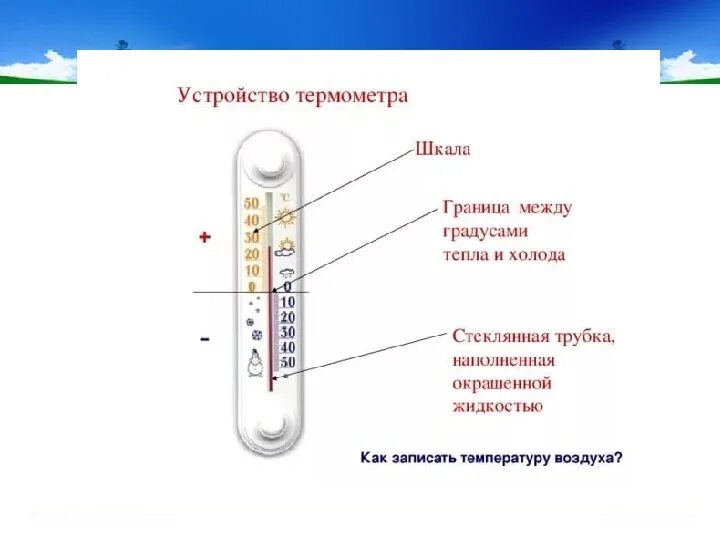 Состав градусника. Термометр температуры тела схема измерения. Как правильно ставить термометр для измерения температуры. Из чего состоит термометр для измерения температуры тела. Термометр ртутный правильная шкала.