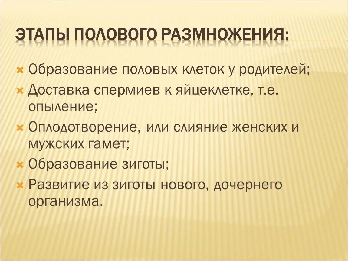 Этапы размножения. Половое размножение этапы. Стадии полового размножения. Этапы эволюционного процесса размножения.