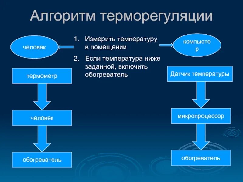 Алгоритм температуры. Алгоритм терморегуляции. основные механизмы терморегуляции у человека это. терморегуляция схема. элементы системы терморегуляции.