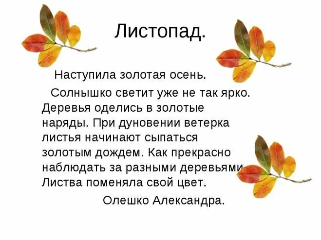 Сочинение осенние листья 5 класс. Рассказ о листьях 3 класс по литературе. рассказ об осенних листьях 3 класс. рассказ про листья 3 класс. маленький расказо листьях.