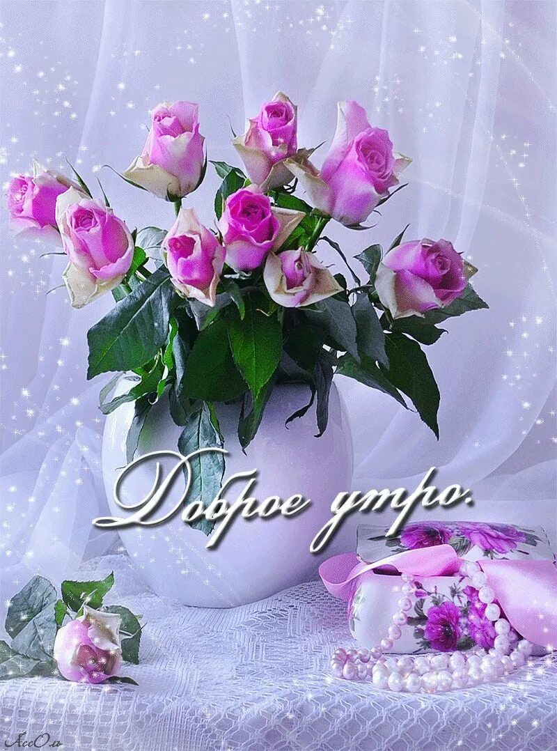 Самого шикарного дня. Открытки с пожеланием доброго утра. чудесного воскресного дня цветы. открытки с добрым утром с цветами. пожелание доброго утра цветы.